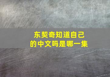 东契奇知道自己的中文吗是哪一集