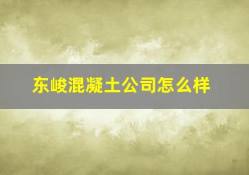 东峻混凝土公司怎么样