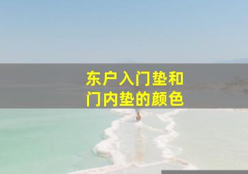 东户入门垫和门内垫的颜色