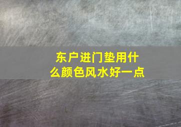 东户进门垫用什么颜色风水好一点