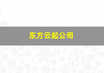 东方云起公司