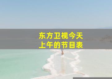 东方卫视今天上午的节目表