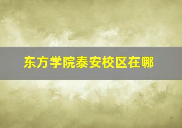 东方学院泰安校区在哪