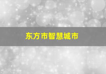 东方市智慧城市