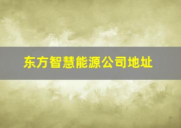 东方智慧能源公司地址