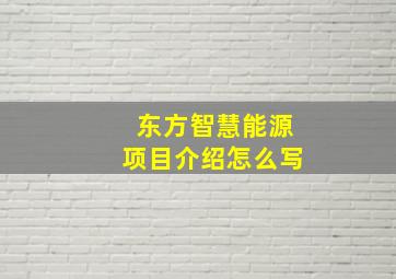 东方智慧能源项目介绍怎么写