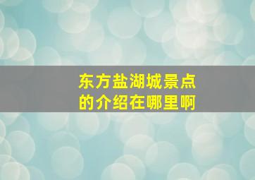 东方盐湖城景点的介绍在哪里啊