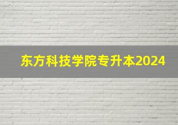 东方科技学院专升本2024