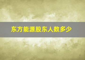 东方能源股东人数多少