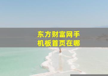 东方财富网手机板首页在哪