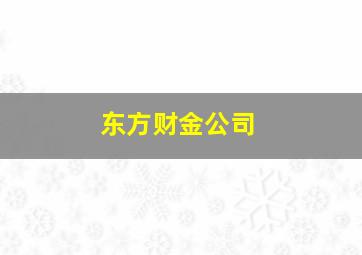 东方财金公司