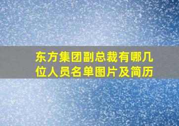 东方集团副总裁有哪几位人员名单图片及简历