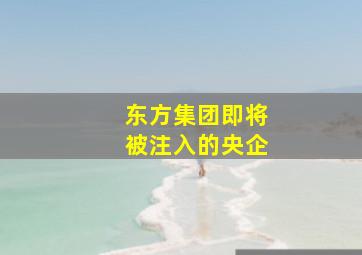 东方集团即将被注入的央企