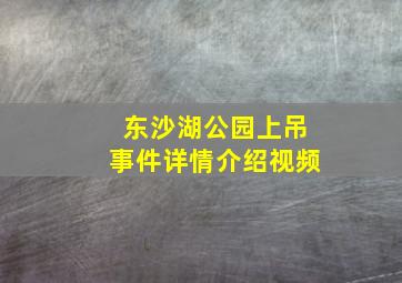 东沙湖公园上吊事件详情介绍视频