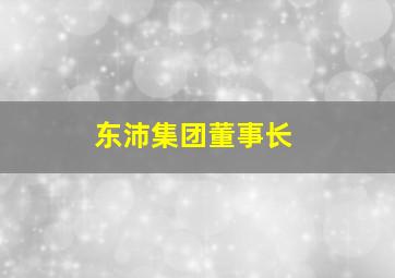 东沛集团董事长