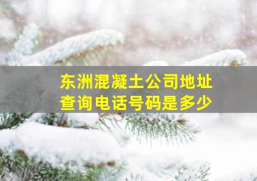 东洲混凝土公司地址查询电话号码是多少