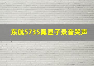 东航5735黑匣子录音哭声