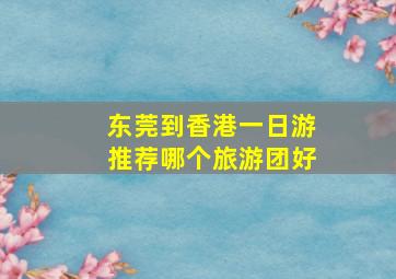 东莞到香港一日游推荐哪个旅游团好