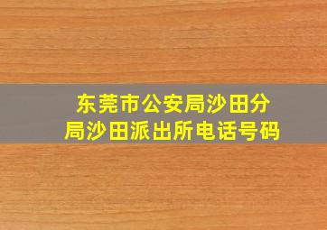 东莞市公安局沙田分局沙田派出所电话号码