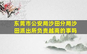 东莞市公安局沙田分局沙田派出所负责越南的事吗