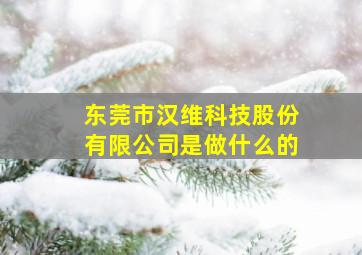 东莞市汉维科技股份有限公司是做什么的