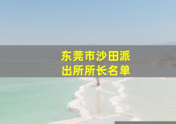 东莞市沙田派出所所长名单