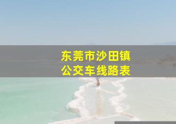 东莞市沙田镇公交车线路表