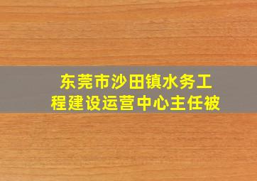 东莞市沙田镇水务工程建设运营中心主任被