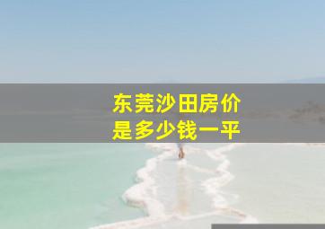 东莞沙田房价是多少钱一平