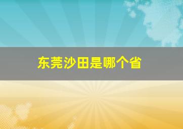 东莞沙田是哪个省