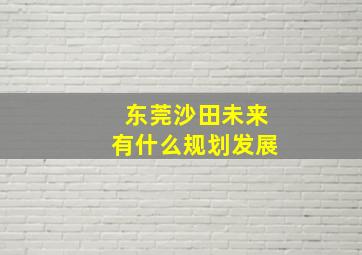 东莞沙田未来有什么规划发展