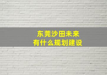 东莞沙田未来有什么规划建设