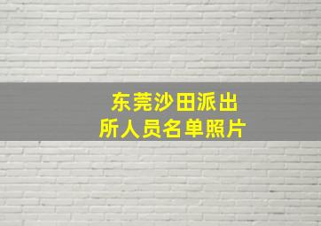 东莞沙田派出所人员名单照片