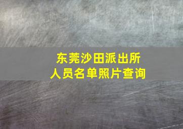 东莞沙田派出所人员名单照片查询