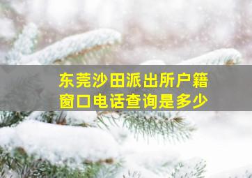 东莞沙田派出所户籍窗口电话查询是多少