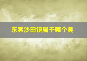 东莞沙田镇属于哪个县