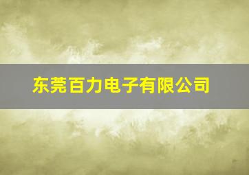 东莞百力电子有限公司