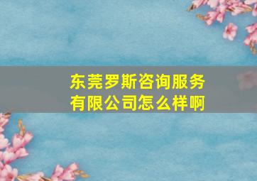 东莞罗斯咨询服务有限公司怎么样啊