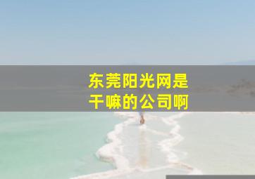 东莞阳光网是干嘛的公司啊