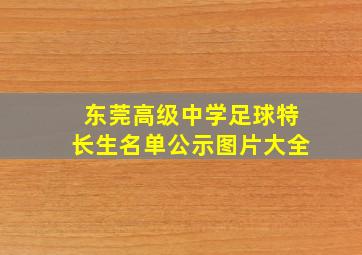 东莞高级中学足球特长生名单公示图片大全