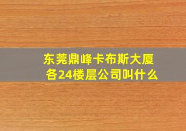 东莞鼎峰卡布斯大厦各24楼层公司叫什么