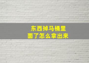 东西掉马桶里面了怎么拿出来