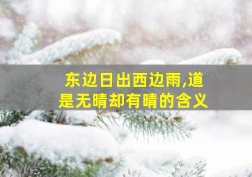 东边日出西边雨,道是无晴却有晴的含义