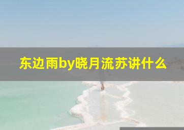 东边雨by晓月流苏讲什么