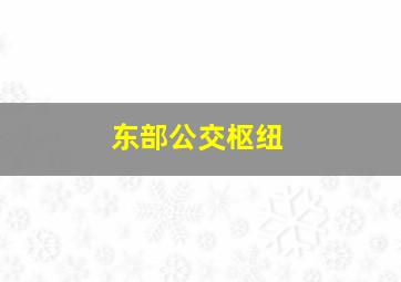 东部公交枢纽