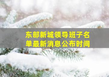 东部新城领导班子名单最新消息公布时间