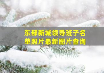 东部新城领导班子名单照片最新图片查询