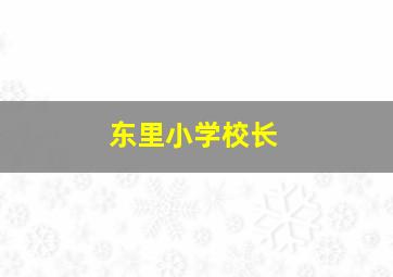 东里小学校长