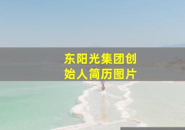 东阳光集团创始人简历图片