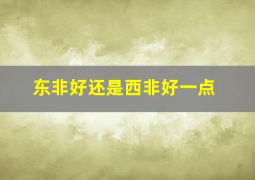 东非好还是西非好一点